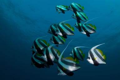 2009 Aug - South Africa