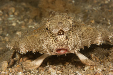 2013 Mar - Heron Bridge Florida