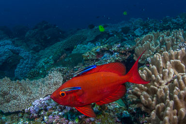 2016 July - Sodwana South Africa